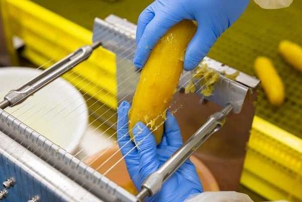 
                  富永農園の干し芋A級品（有機JAS規格 紅はるか）300g×３袋
                