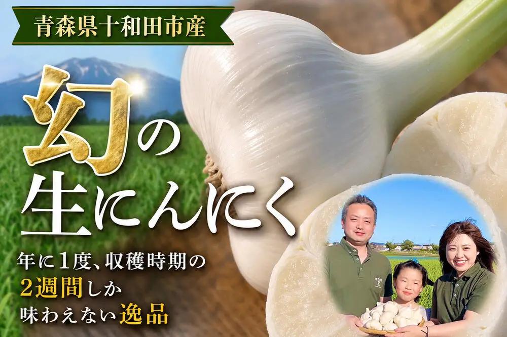 先行受付【テレビ紹介】青森 幻の生にんにく1kg（農家直送・収穫期だけの限定品） 青森にんにくファーム