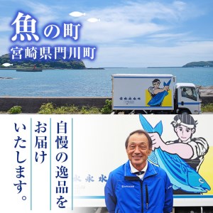 ソフトさきいか(計約600g・100g×6P)干物 おつまみ 珍味 海産物 常温 保存【E-26】【水永水産】