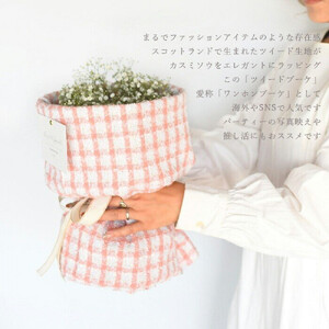 かすみそう「ツイードブーケ」 かすみ草 カスミソウ 花束(小さいサイズ) 【 カスミソウ ブーケ 花 花束 花ギフト 】