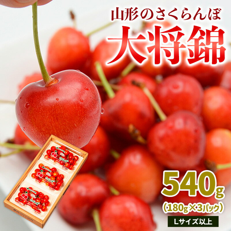 【ふるさと納税】山形のさくらんぼ 大将錦 540g Lサイズ以上 (180g×3パック) 【令和8年産先行予約】FS25-017