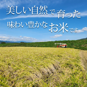 【2025年先行予約】棚田米 こしひかり 白米 5kg 令和7年産｜米