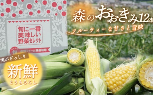 【実がぎっしり大きい！新鮮！朝どれとうもろこし】森のおおきみ12本