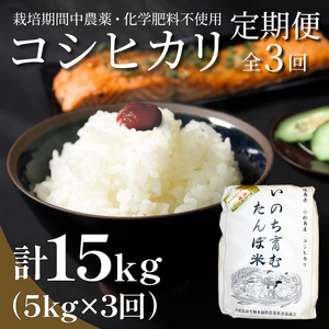 【定期便3回】 新米 米 コシヒカリ 計15kg 5kg×3回 精米したて お米 定期便 ( 四国 徳島県 小松島 白米 栽培期間中無農薬 ふるさと納税 おいしい こめ おこめ 精米 国産 限定 ごはん ご飯 白飯 ゴハン ふるさと ランキング 人気 送料無料 国産 TGK 卵かけご飯 おにぎり いのち育む田んぼ米 生物多様性【北海道･東北･沖縄･離島への配送不可】 米 コシヒカリ 米 コシヒカリ 米 コシヒカリ 米 コシヒカリ 米 コシヒカリ 米 コシヒカリ 米 コシヒカリ 米 コシヒカリ 米 コシヒカリ