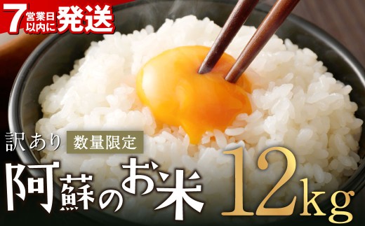 阿蘇のお米 12kg (6kg×2袋) 【7営業日発送】 精米 お米 米 おすすめ 人気 ランキング