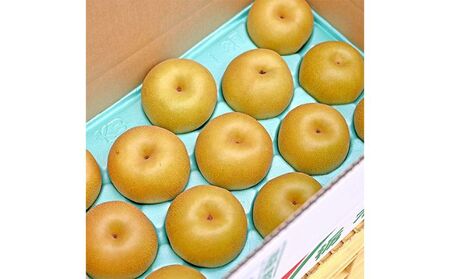 梨(豊水) 6玉～14玉入り×1箱 (4.5kg以上) ※2025年8月下旬～9月下旬頃に順次発送予定