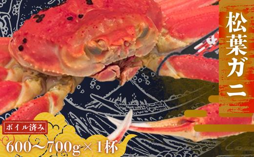 
            【配送日時指定可能！】松葉ガニ600g～700g〈ボイル〉松葉ガニ  マツバガニ 冬の旬。贅沢の極みをご家庭で
松葉ガニ 松葉カニ マツバカニ カニ 蟹 新鮮 旬 プレゼント 贈与 お祝い事 贈り物 年末年始 祝辞
          