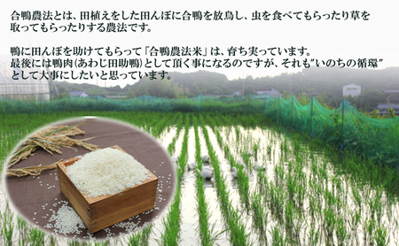 あわじ田助 鴨鍋 セット 鴨 鴨肉 合鴨ロース 鍋 兵庫県 洲本市 淡路島