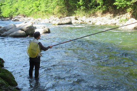 予約受付【令和6年】「馬瀬川下流」雑魚年釣券　渓流釣り 年券 2024年 釣り 釣り券 つり【26-5】