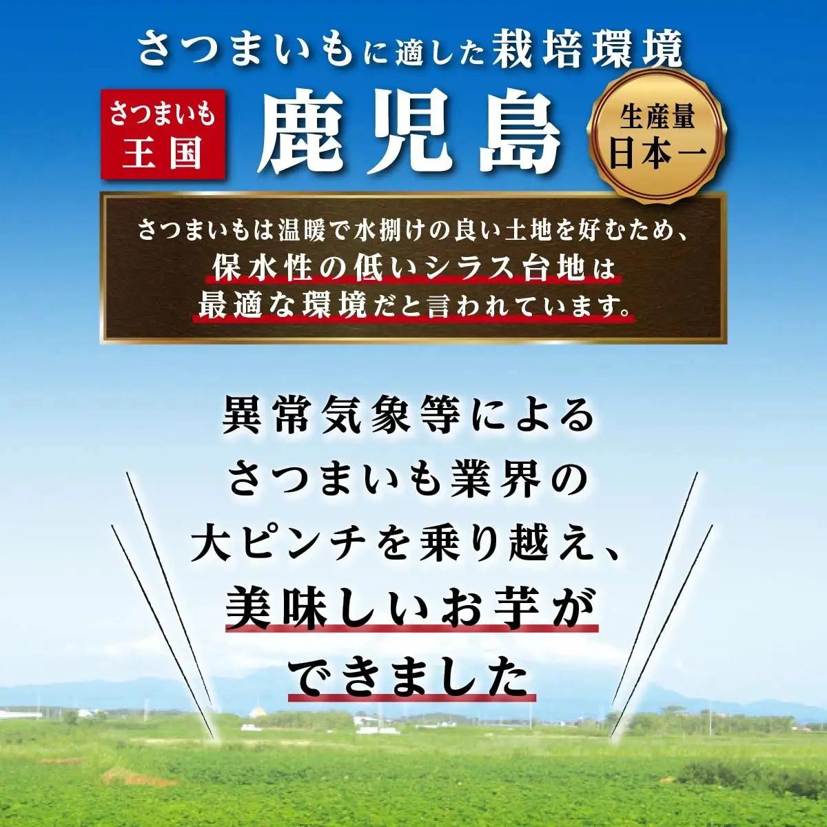 冷凍焼芋（ 紅はるか ） | 紅はるか