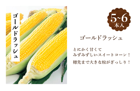 【R7年早期受付】　ナツやさい　8月の旬　トウモロコシ　5〜6本　ピンクの八百屋〜ナツやさい〜/006-22295-b01A