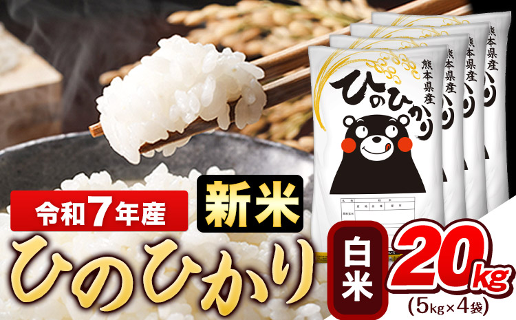新米 令和7年産 ひのひかり 白米 20kg (5kg×4袋)《10月中旬-12月末頃出荷》熊本県産 白米 精米 ひの 米 こめ ヒノヒカリ コメ お米 おこめ