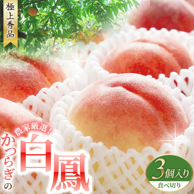 【ふるさと納税】 桃 白鳳 食べきりやすい3個入り ☆秀品☆《2025年6月末頃より順次発送》 桃の王様！ こだわり農家厳選 桃 もも モモ 果物 くだもの フルーツ 先行予約 白鳳 人気 和歌山の桃 贈答 贈り物 数量限定 お取り寄せ かつらぎ町 くしがきの里 送料無料 【KG17】