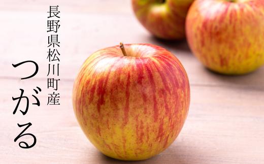 
            KR22-25A りんご つがる 約3kg（6～10玉）贈答 / 2025年8月下旬頃～配送予定 // 南信州産 長野県  松川町産 ギフト 早生りんご りんご リンゴ 林檎 農家直送 農家支援 贈答 果物 フルーツ
          