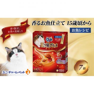 ふるさと納税 伊丹市 銀のスプーン三ツ星グルメ 香るお魚仕立て15歳頃から お魚レシピ猫のご飯[54030507]