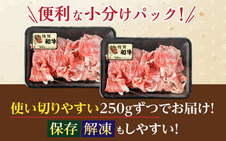 佐賀和牛 切り落とし 計500g(250g×2p)【一ノ瀬畜産】[NAC030]