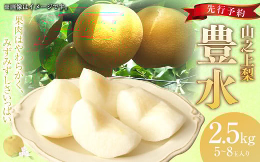 《先行予約》｢丸坂山田農園｣ 山之上梨 豊水 1箱 （約2.5kg／5～8玉）【2025年8月下旬～9月上旬 発送予定】│梨 ナシ 冷蔵 岐阜県産 国産 岐阜県 美濃加茂市