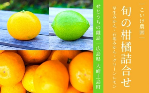 [予約] 11〜12月発送 大崎上島産 旬の柑橘詰合せ 早生みかん/石地みかん/緑レモン 約4kg