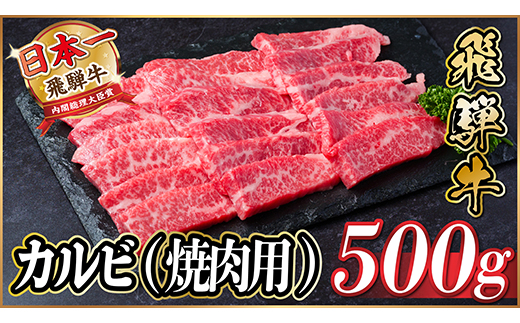 飛騨牛 カルビ 焼肉　500g【配送不可地域：離島】【1487355】