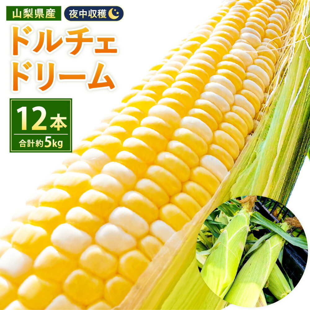 【ふるさと納税】夜中収穫！とうもろこし（ドルチェドリーム） 12本（計約5kg） 1本450g以上 とうもろこし トウモロコシ ドルチェドリーム バイカラーコーン 野菜 やさい 冷蔵 山梨県産 国産 山梨県 中央市 送料無料 【2026年6月上旬～下旬迄発送予定】