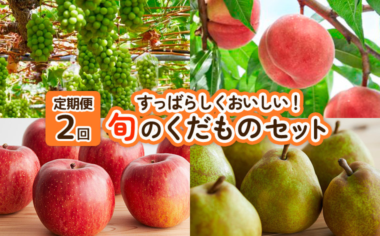
            【定期便2回】すっばらしくおいしい！旬のくだものセット FY25-254
          