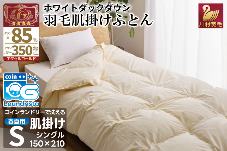 
            【春夏用】洗える 羽毛 布団 掛け布団 夏 春 肌掛け布団 シングル ホワイトダックダウン 85% 0.4kg 無地 アイボリー 羽毛布団 布団 ふとん 羽毛 肌掛け 掛け布団 寝具 夏用 日本製 国産 抗菌防臭 無地 レビューキャンペーン 送料無料 コインランドリー [川村羽毛 山梨県 韮崎市 20743635] 
          