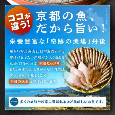 ふるさと納税 京丹後市 【入金確認後、最短5日以降に出荷】丹後の地元鮮魚店が作った店主お任せ干物詰め合わせセット3種/訳あり |  | 02