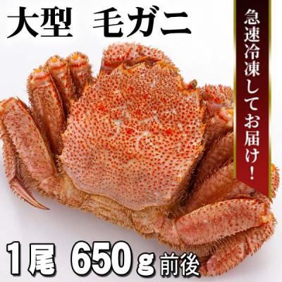 ふるさと納税 旭川市 北海道産 ボイル毛ガニ 冷凍 1尾 650g前後_05581