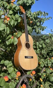 SUMIあんずギター(CONCERT)|ギター