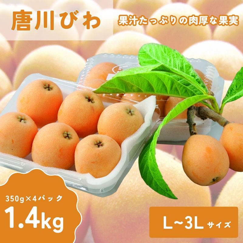 【ふるさと納税】びわ 唐川びわ 350g×4パック 約1.4kg L～3Lサイズ 季節限定 数量限定 フルーツ 果物 愛媛県産 枇杷 旬 手作業 生産者直送 甘い 程よい酸味 お取り寄せ 愛媛県 伊予市 | B126