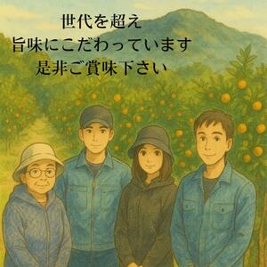 【旨味にこだわり】里見農園のみかん Mサイズ 3kg【1697683】