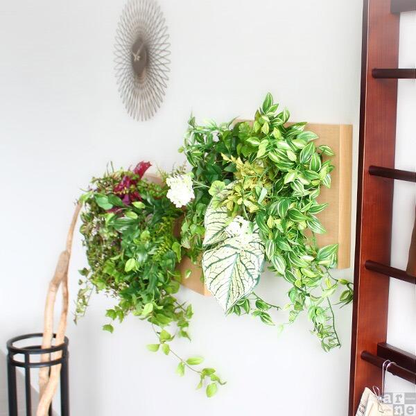 Botanical c.class 08　ナチュラル