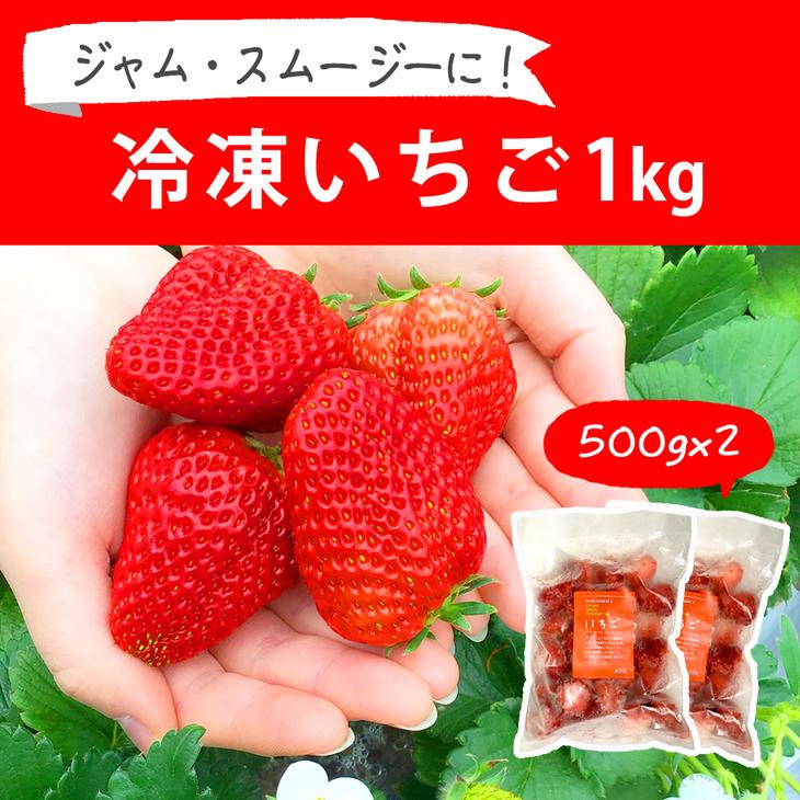 摘みたて！便利な小分け！冷凍いちご1kg(500g×2) | いちご 苺 イチゴ 1キロ 冷凍 フルーツ 小分け おいしい ジャム スムージー かき氷 いばらキッス 紅ほっぺ よつぼし 恋みのり 贈答 贈り物 プレゼント 茨城県 古河市 直送 農家直送 産地直送 _BI08