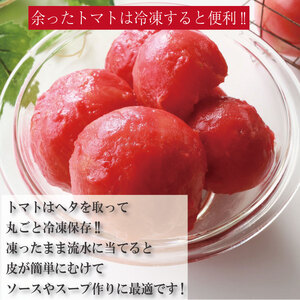 【訳あり】【2026年4月発送】 桃太郎トマト 約1kg 桃太郎 先行予約 甘い 野菜 やさい 国産 産地直送  トマト トマト トマト トマト 生野菜 新鮮 ソース ケチャップ サラダ  グルメ お