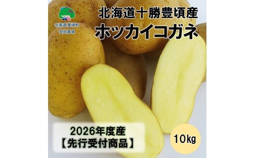 北海道十勝豊頃産ホッカイコガネ10kg 【2026年秋出荷】（先行受付】［安田農場］
