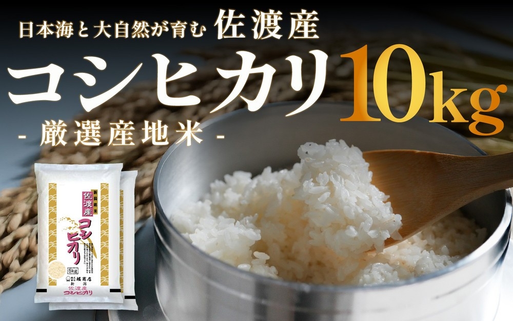 
                  【令和7年産】佐渡産コシヒカリ 精米10kg（5kg×2袋）国仲平野 | 新潟県産コシヒカリ 新潟産コシヒカリ 新潟コシヒカリ 佐渡産コシヒカリ 新潟県産こしひかり 佐渡産こしひかり お米 米 こしひかり 白米 精米 ブランド米 おこめ コメ 10キロ 国仲平野 にいがた さど 新潟県 佐渡市
                