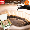 【ふるさと納税】【6ヶ月定期便】コーヒー豆3種のセット 各100g(中～粗挽き) 計300g 旬のおすすめ豆 エチオピア・モカ オリジナルブレンド 送料無料 こたけまち絵本館木のうた《お申込み月の翌月から出荷開始》