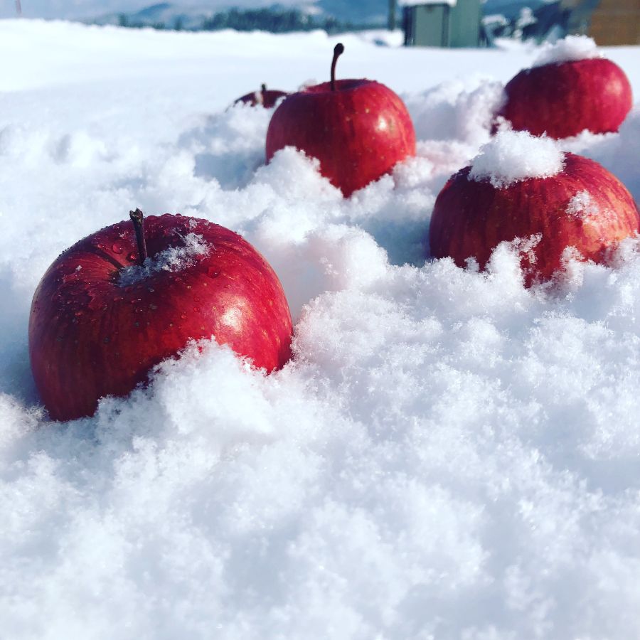 雪中貯蔵りんご3kg(9玉～11玉)