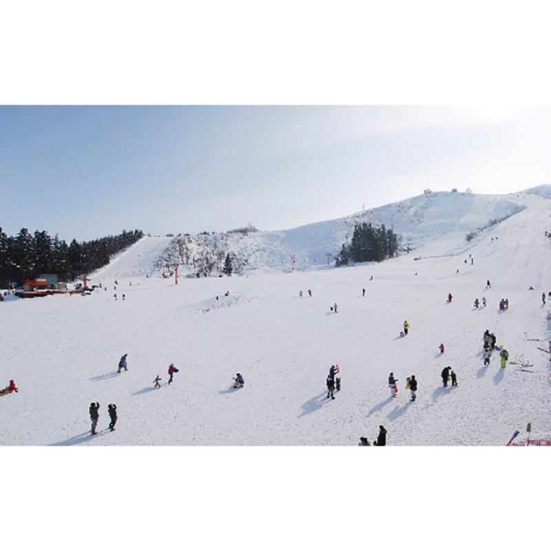 【ふるさと納税】小出・須原・薬師共通シーズン券　新潟県 スキー場 雪遊び スキー シーズンチケット　お届け：2025年11月上旬～2026年3月下旬まで
