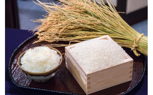 福井のブランド米『令和7年産いちほまれ』10kg（寄付の使い道に「いちほまれ応援」を選択された県外在住の方のみ）