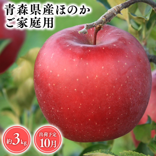 2026年産１０月発送　【訳あり】家庭用ほのか3ｋｇ　【そと川りんご園・１０月・青森県産・平川市・りんご・ほのか・3ｋｇ・訳あり・家庭用】