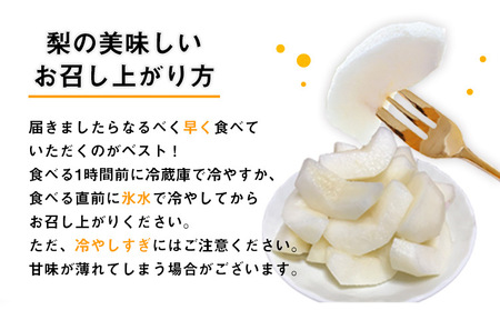 【先行予約】梨 鶴田農園 梨予約 豊水 あきづき 甘太 のいずれかお届け 約2kg 5～6玉 【日付指定不可】 熊本県 荒尾市産 和梨 《8月下旬-9月下旬頃出荷》