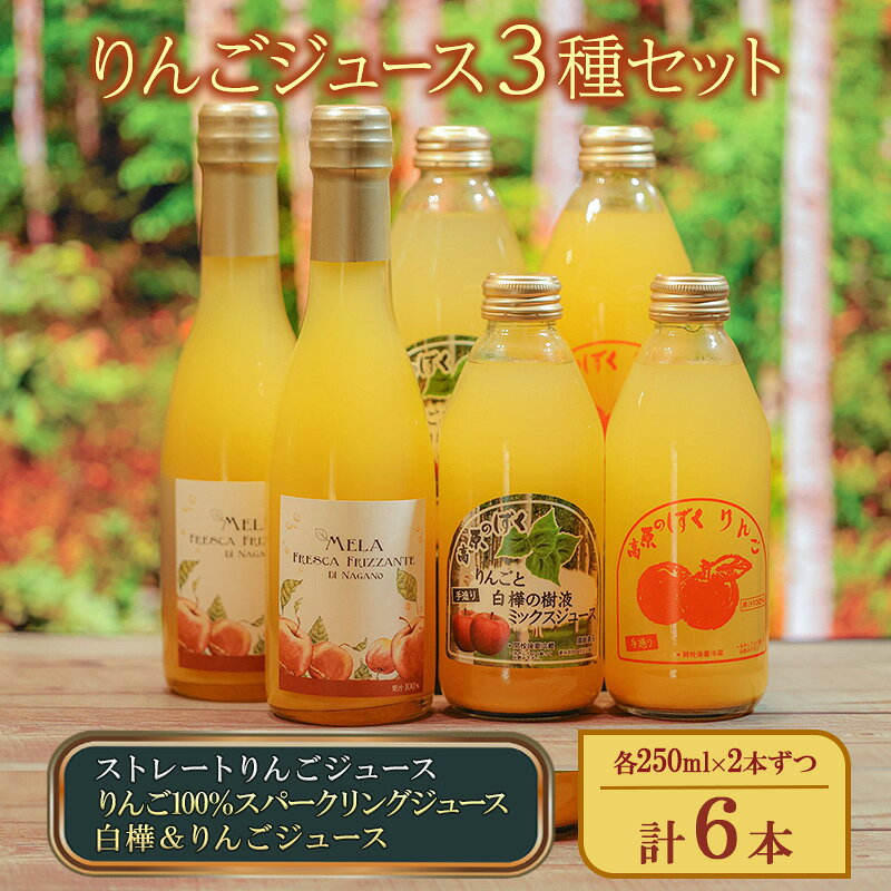 【ふるさと納税】りんごジュース3種セット（ストレートりんごジュース、りんご100％スパークリングジュース、白樺＆りんごジュース）各250ml×2本ずつ 計6本 信州産 ストレート 炭酸飲料 ノンアルコール