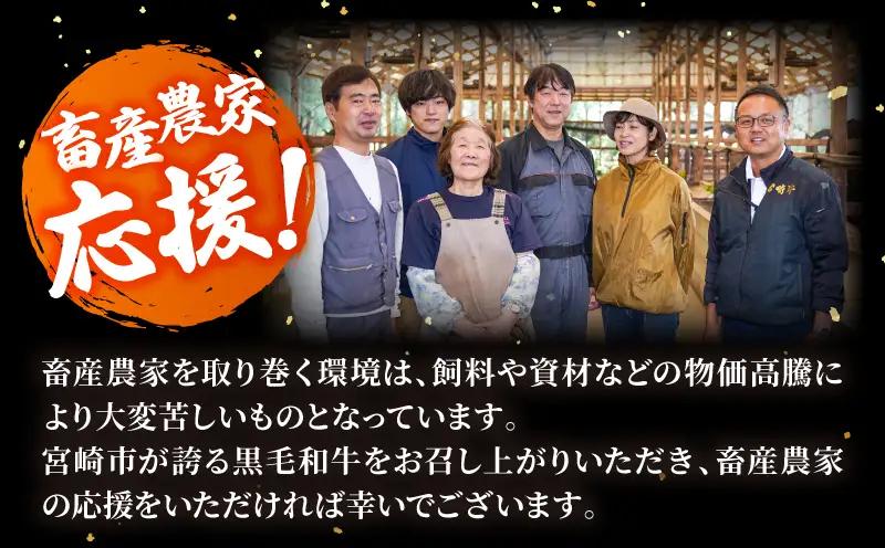 宮崎牛 ロース ステーキ 500g 畜産農家応援！ ハンバーグ