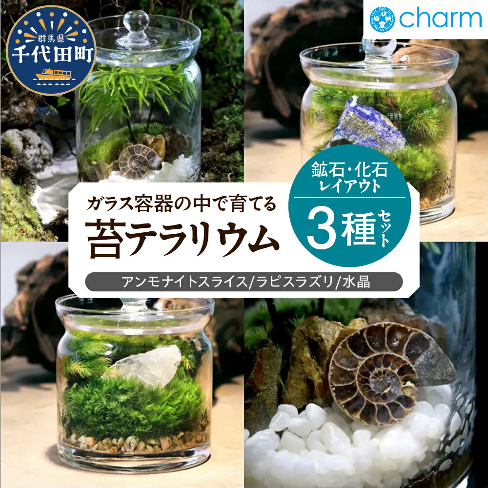 【ふるさと納税】苔テラリウム 鉱石 化石 レイアウト 3種セット アンモナイトスライス ラピスラズリ 水晶 群馬県千代田町 インテリア ナチュラル 植物 リラクゼーション 室内栽培 プレゼント ギフト 贈答用 送料無料 趣味 人気 オススメ 初心者 キッチン 株式会社チャーム