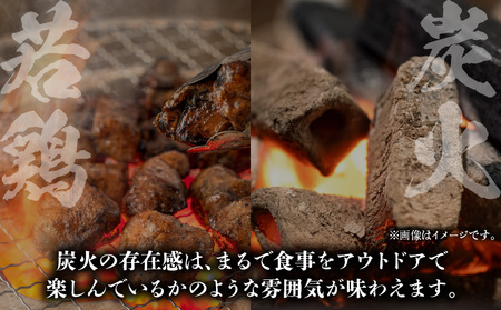炭香る宮崎県産若鶏炭火焼スープカレー 計1.9kg スパイス ブレンド カレー