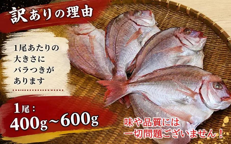 天然鯛の一夜干し 訳あり 2.0kg（４尾〜５尾） 干物 タイ おかず つまみ_1613R