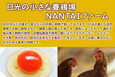 [定期便／6ヵ月] 平飼い新鮮卵「鬼怒」40個×6回 計240個 白身も美味い！｜6ヵ月連続 定期便 日光市産 平飼い卵 こだわり卵 たまご 玉子 生卵 鶏卵 [0725]
