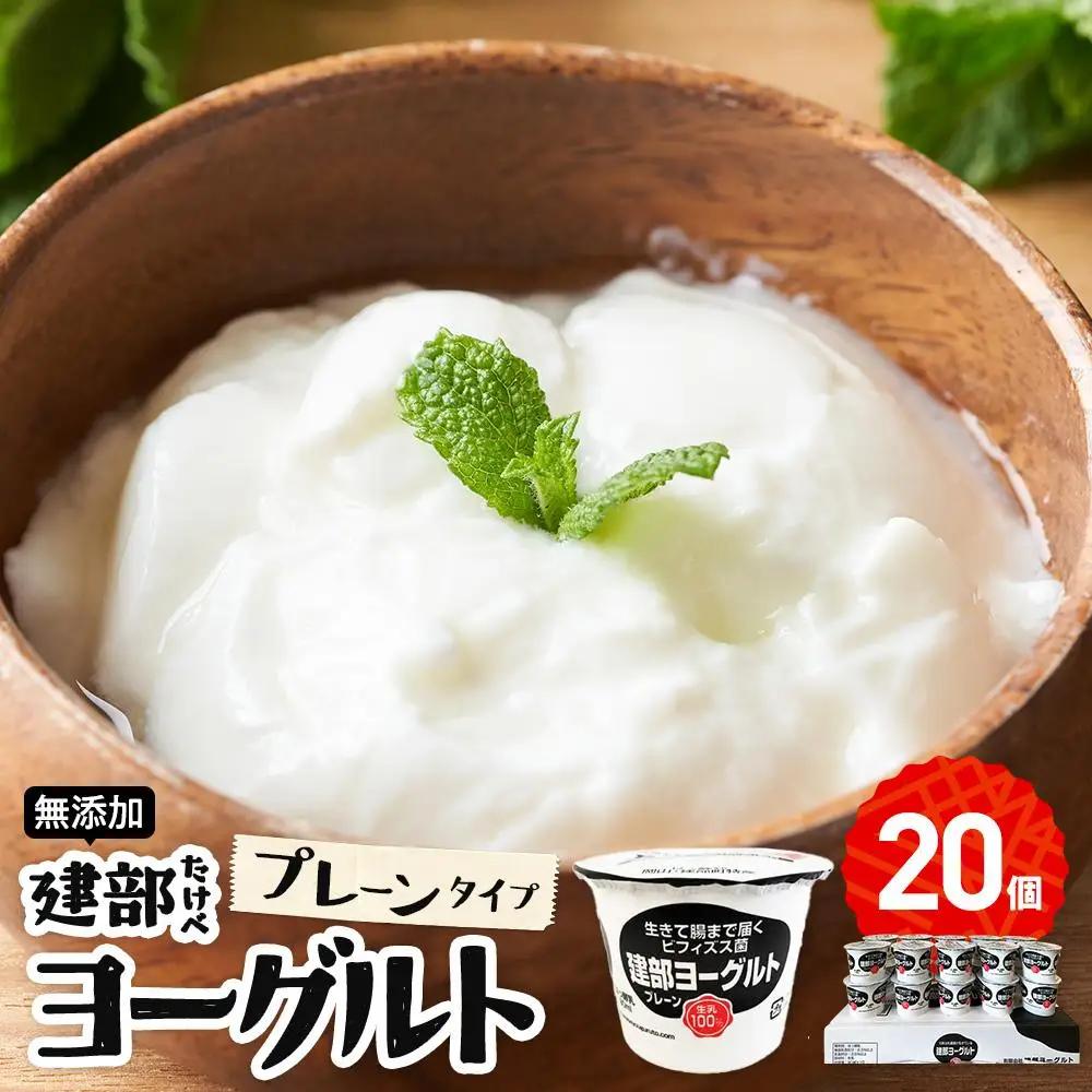 無添加　建部 ヨーグルト （プレーンタイプ） 20個 | ヨーグルト