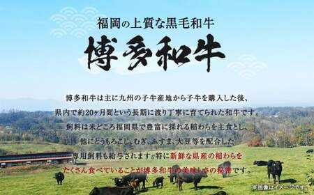 【訳あり】 博多和牛 切り落とし 1kg （500g×2パック） 黒毛和牛 和牛 牛肉 牛 お肉 肉 切落し 冷凍 福岡県 岡垣町